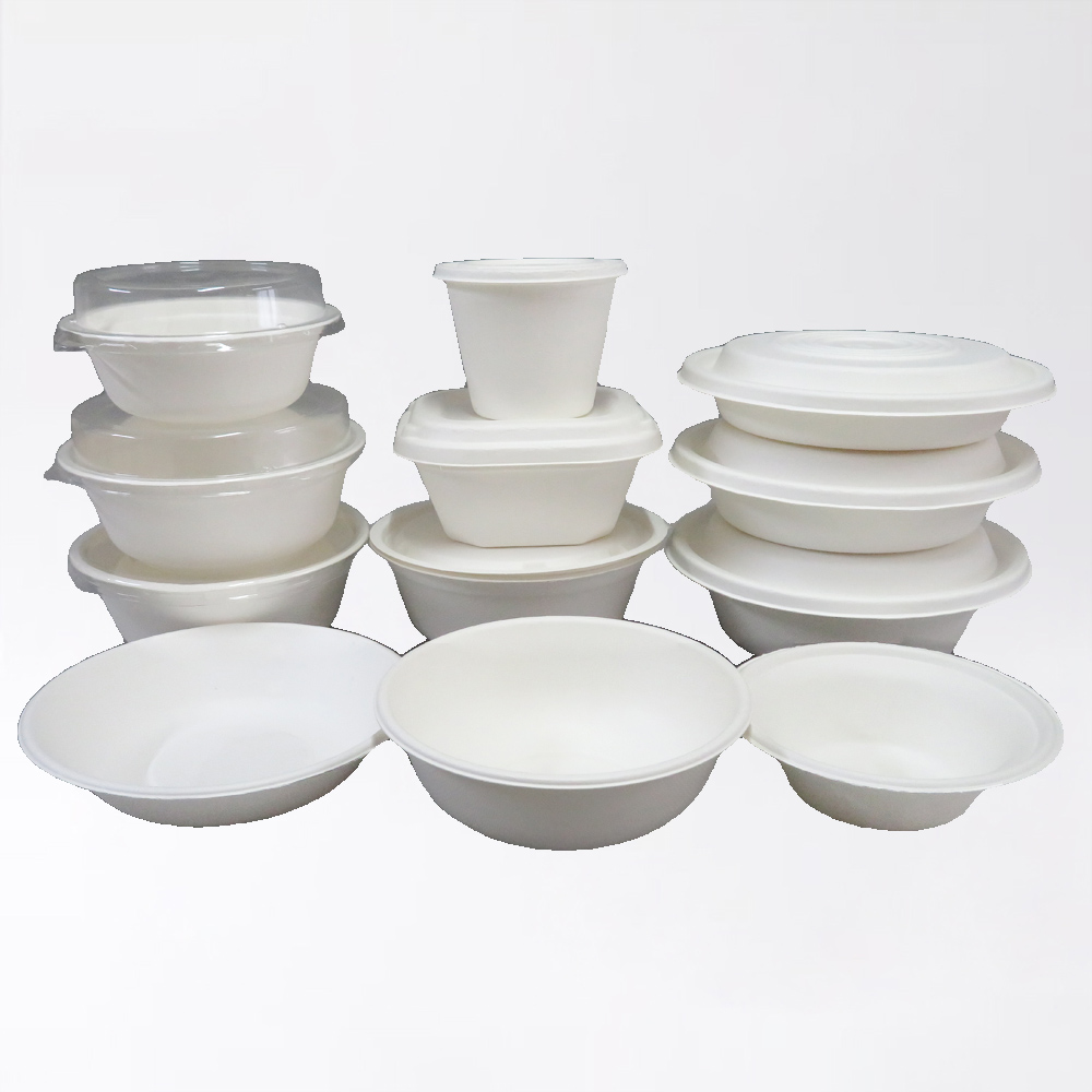 Bagasse Clamshell Box