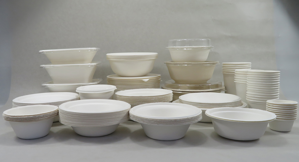 Sugarcane Bagasse Compostable Fiber Bowls