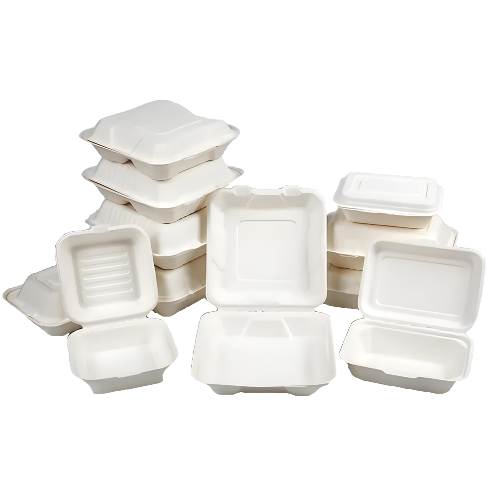 Biodegradable Compostable Airplane Lunch Box Airline Meal Box Dessert Tray With Lid