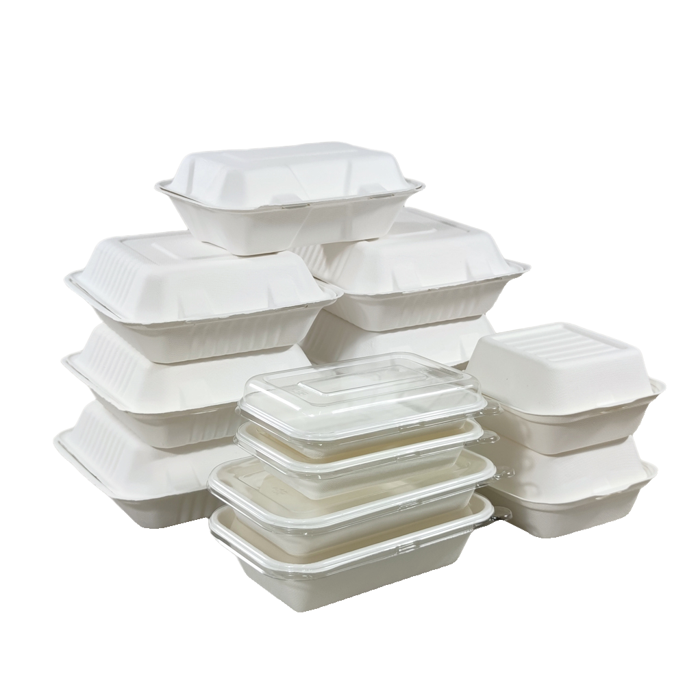 Biodegradable Compostable Airplane Lunch Box Airline Meal Box Dessert Tray With Lid