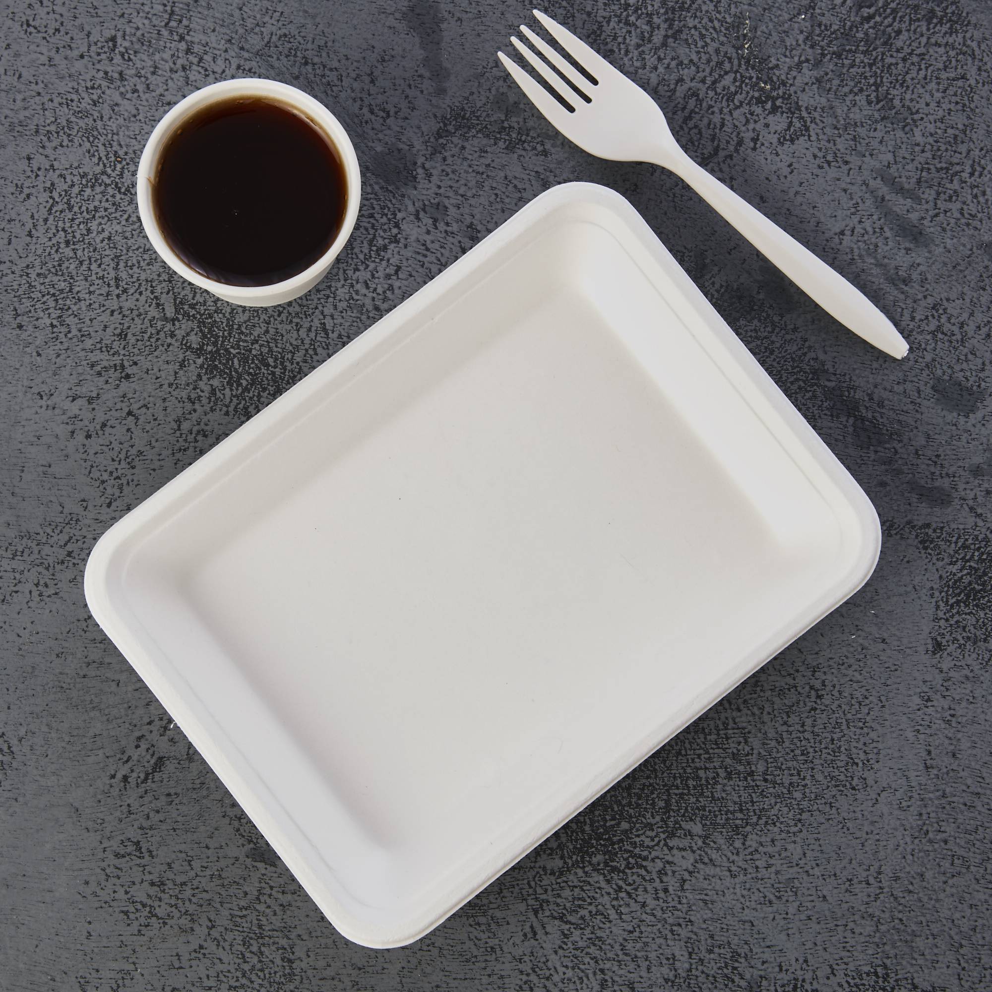 Disposable Biodegradable Compostable Serving Trays Platters