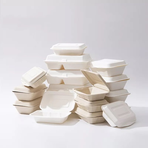 Sugarcane Bagasse Container – A Versatile And Environmentally Friendly Material