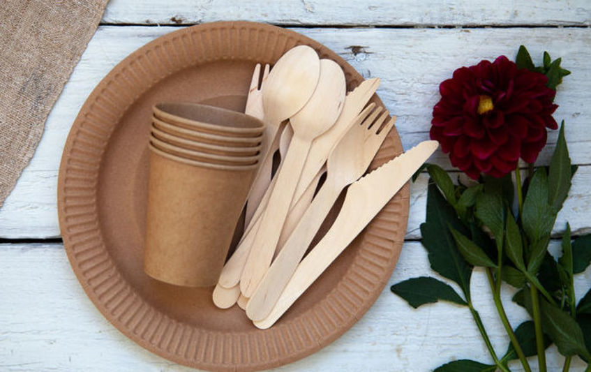 What Are The Advantages Of Biodegradable Tableware?