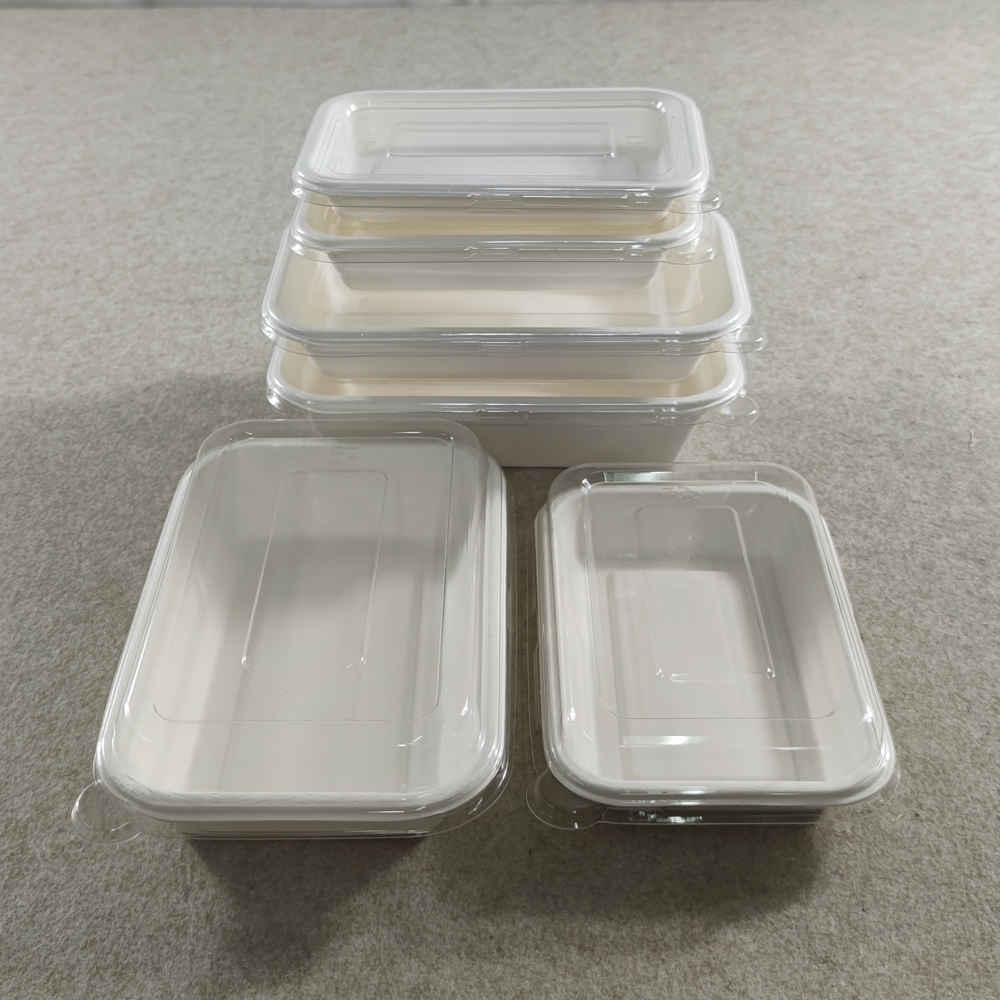 Bagasse Disposable Food Trays with Lids Covers