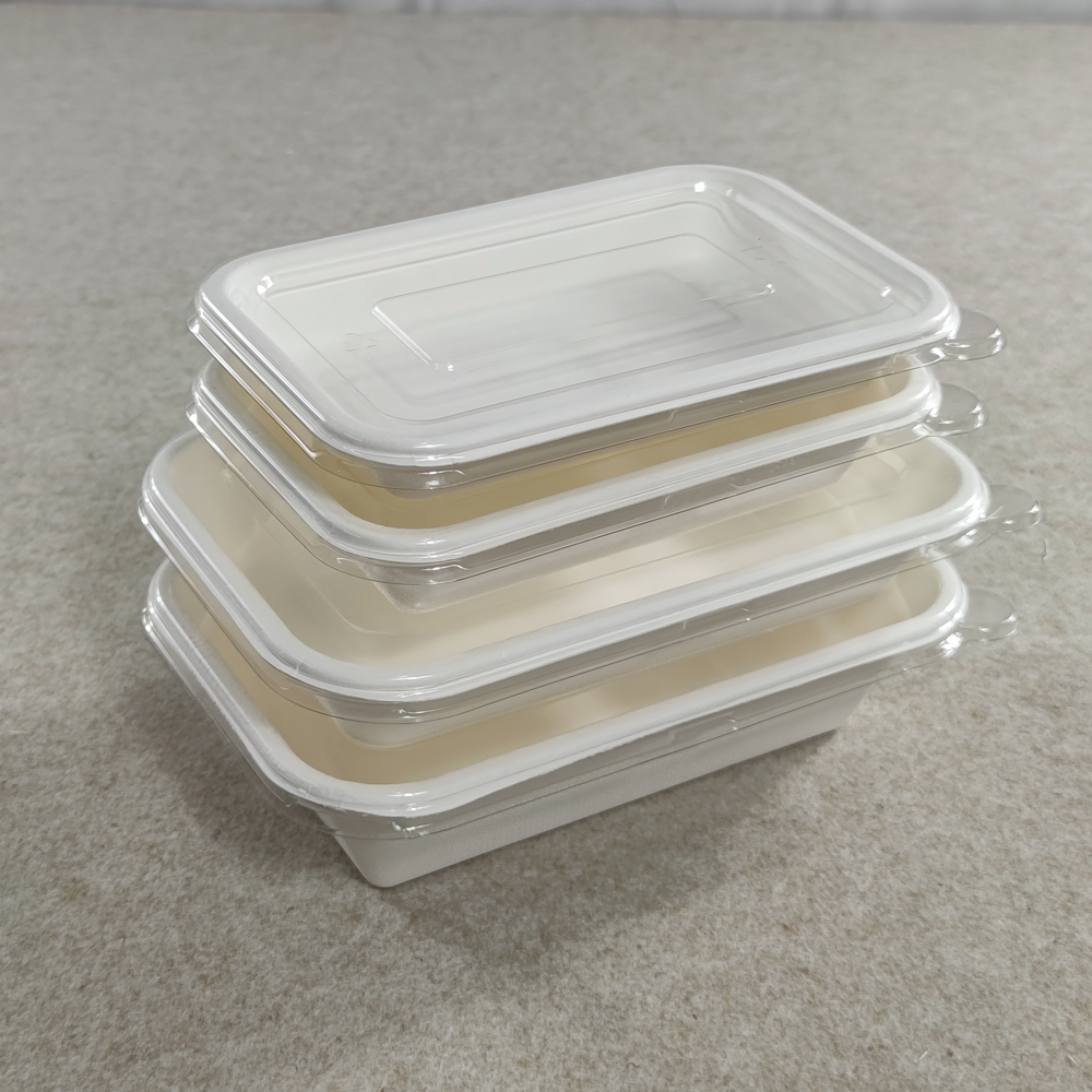 Disposable Biodegradable Sushi Tray With Lid