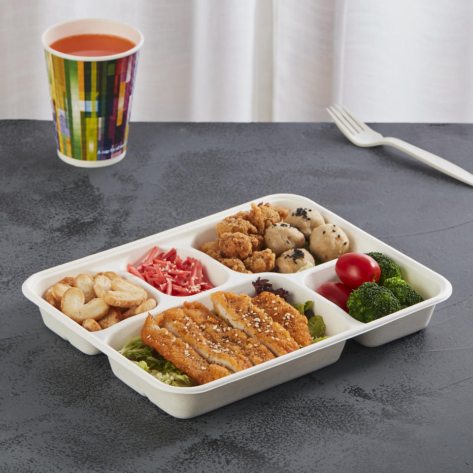 100% Compostable 5 Compartment Tray With Lid Disposable School Lunch Trays