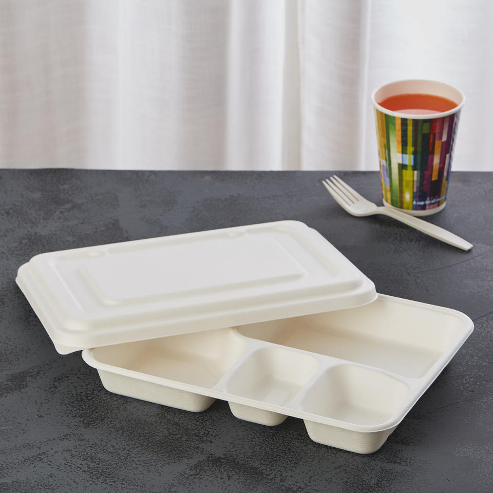 100% Compostable 5 Compartment Tray With Lid Disposable School Lunch Trays