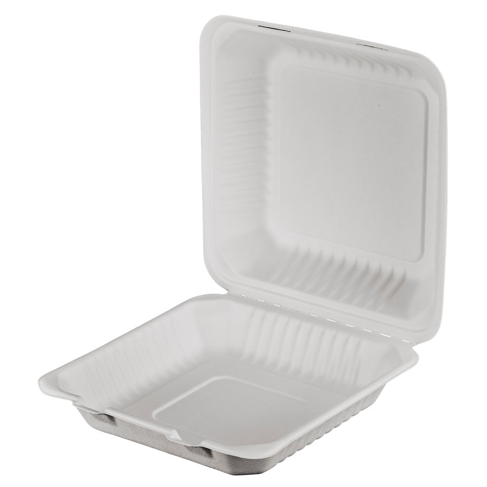 Eco Friendly Biodegradable Food Packaging for Takeaway