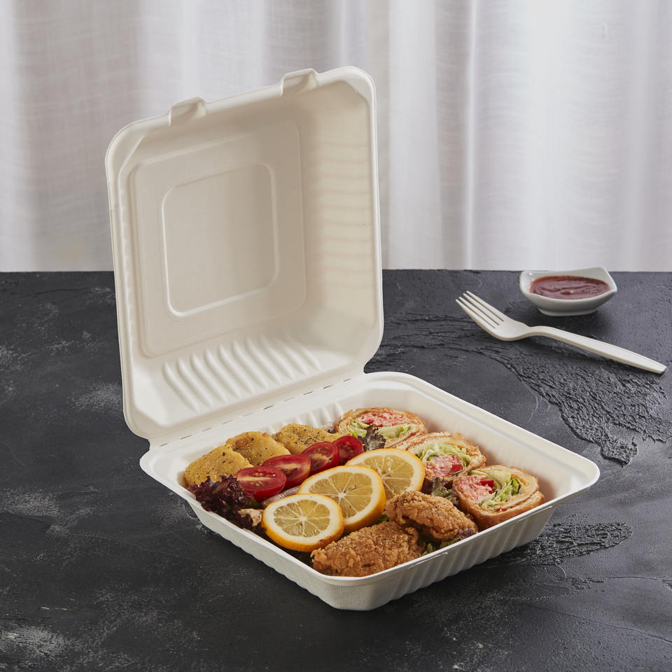 Eco Friendly Biodegradable Food Packaging For Takeaway