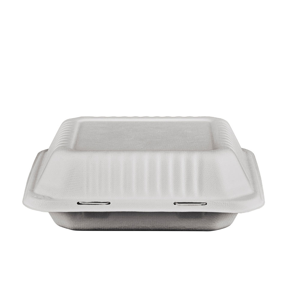 Environmentally friendly Biodegradable Lunch Containers