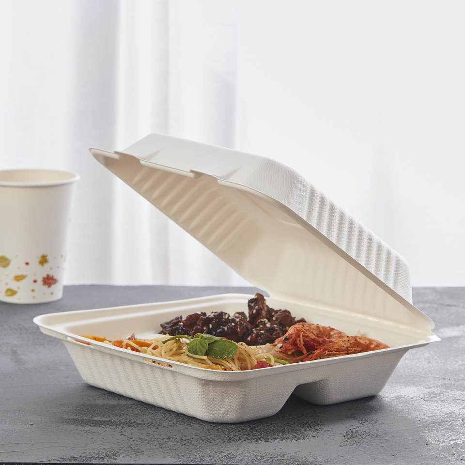 Environmentally Friendly Biodegradable Lunch Containers