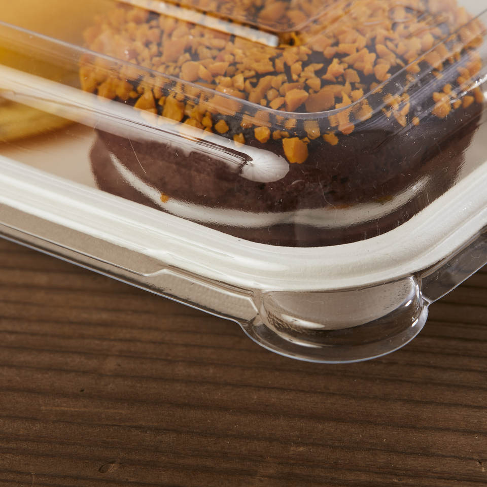 Compostable Disposable Catering Trays with Lids Wholesale