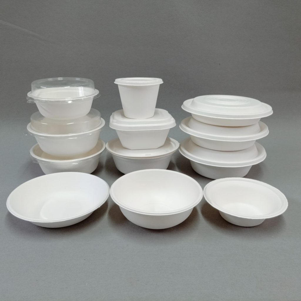 What Types Of Sugarcane Bagasse Disposable Tableware Are There? What Are The Different Categories?