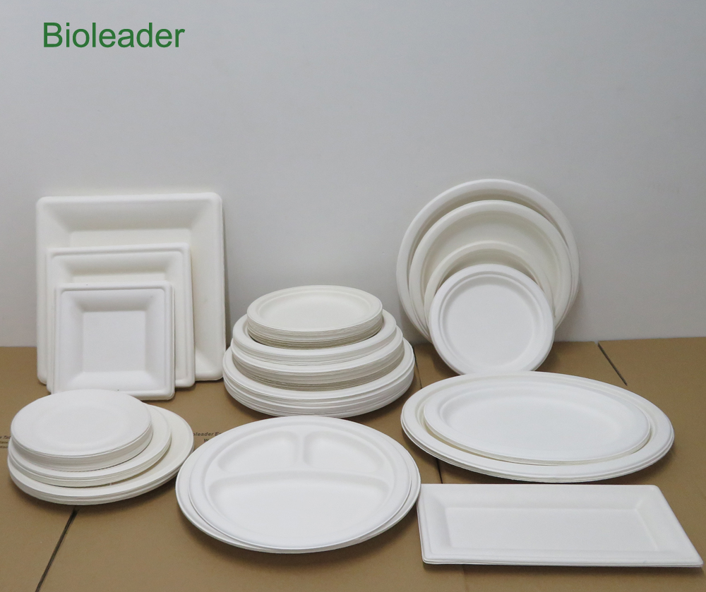 What Types Of Sugarcane Bagasse Disposable Tableware Are There? What Are The Different Categories?