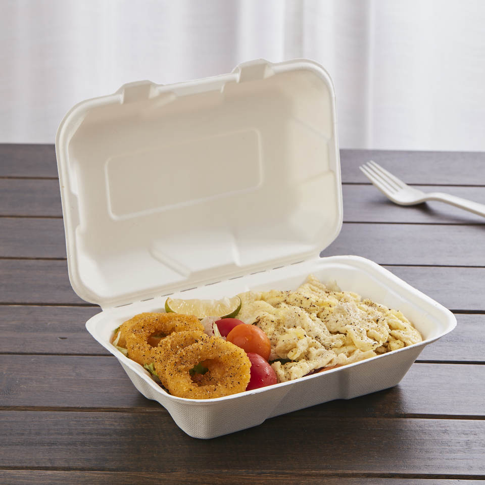 What Types Of Sugarcane Bagasse Disposable Tableware Are There? What Are The Different Categories?