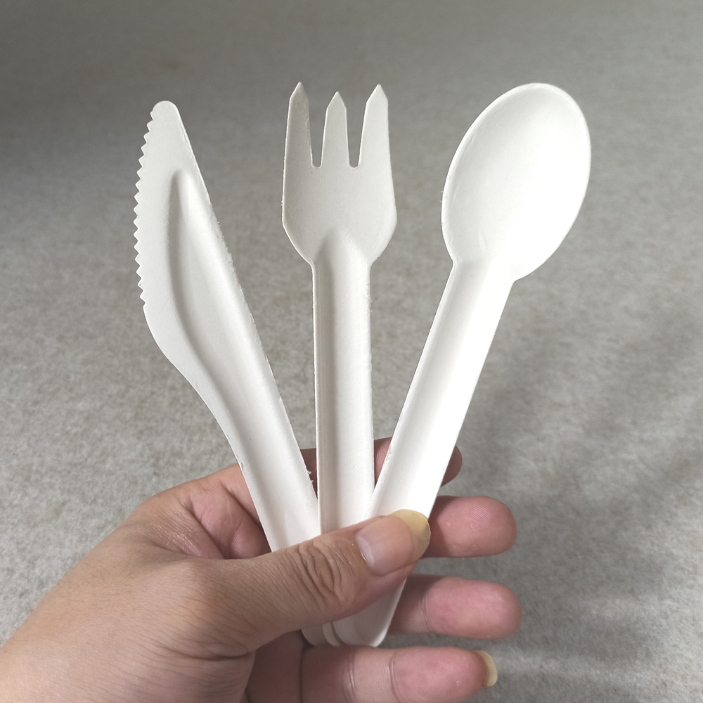 What Types Of Sugarcane Bagasse Disposable Tableware Are There? What Are The Different Categories?