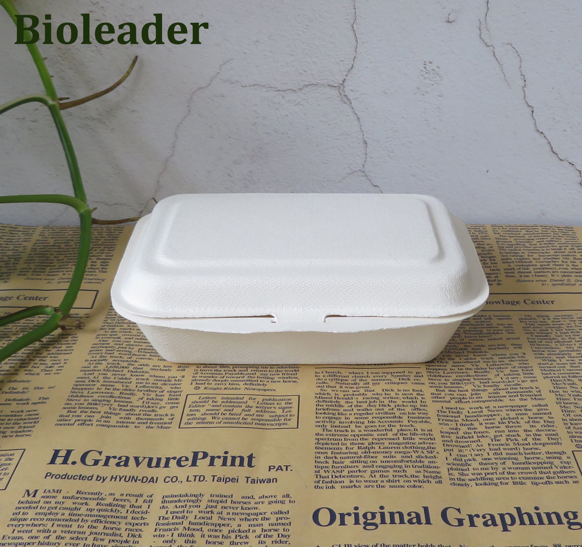 Biodegradable Sugarcane Bagasse Bento Box 500ml