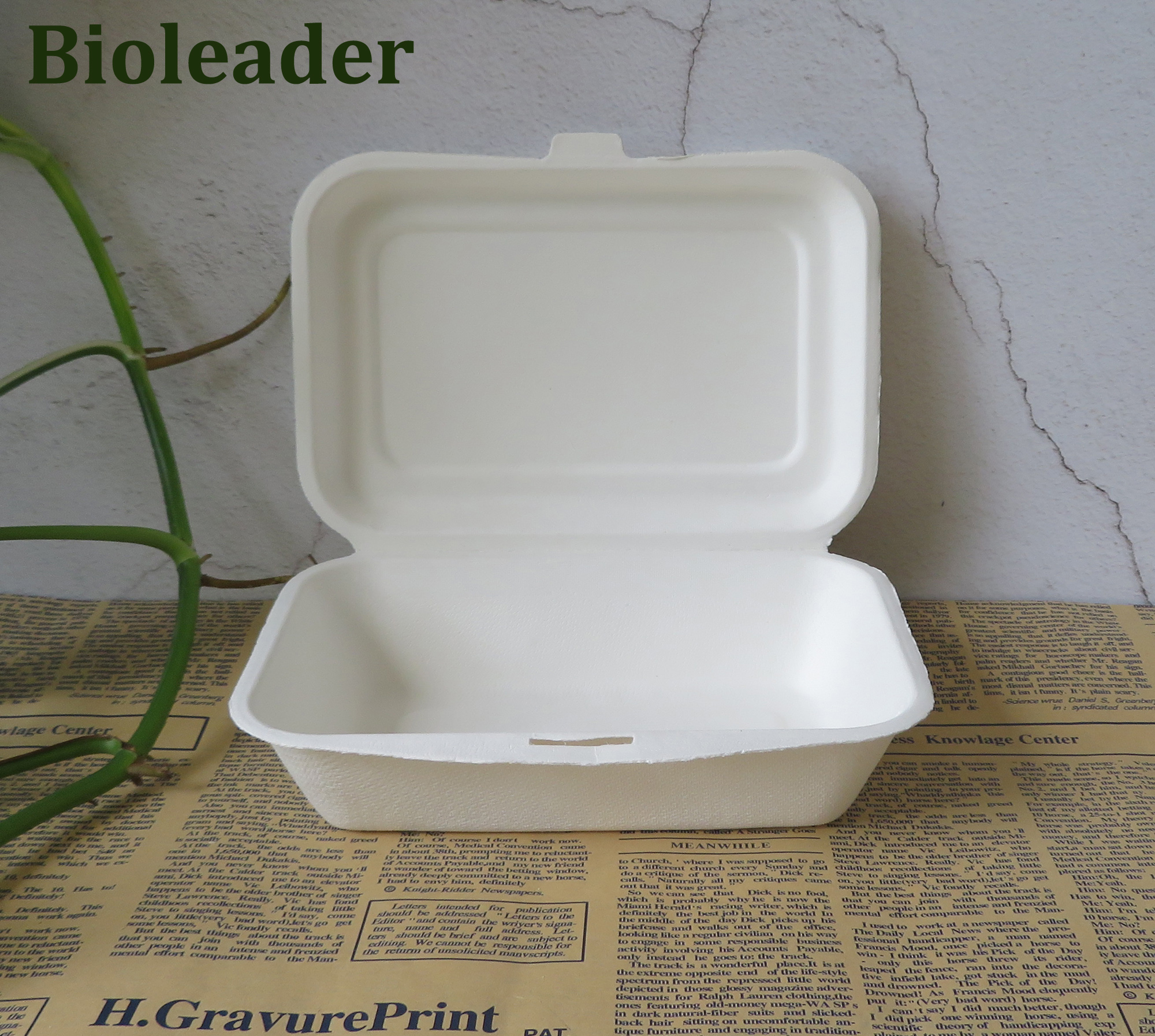 Biodegradable Sugarcane Bagasse Bento Box 500ml