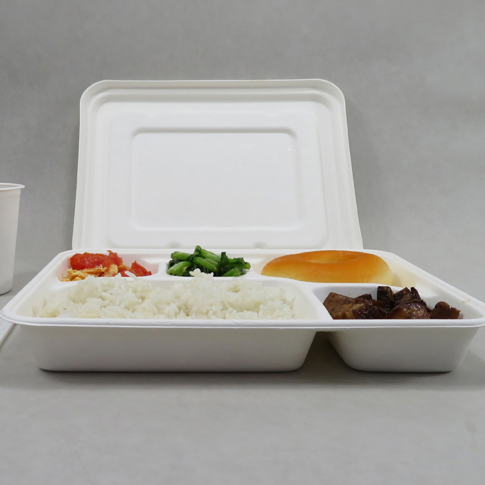 100% Compostable 5 Compartment Tray with Lid Disposable School Lunch Trays