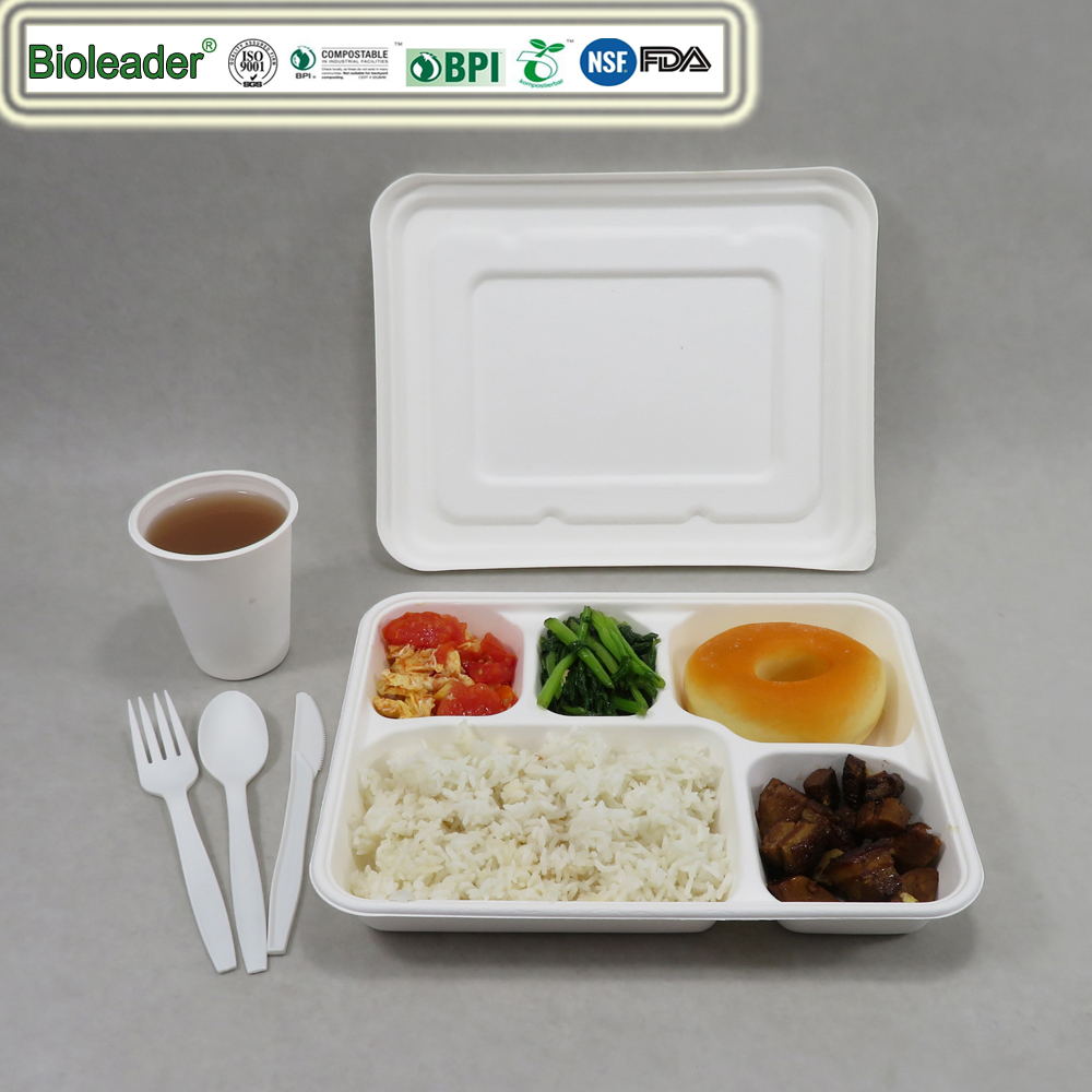 100% Compostable 5 Compartment Tray with Lid Disposable School Lunch Trays