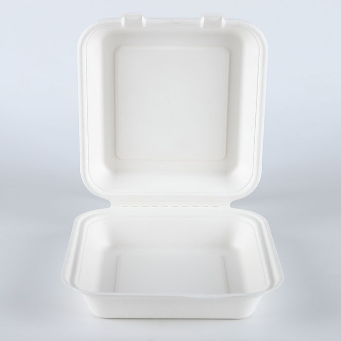 Eco Friendly Biodegradable Take Out Containers