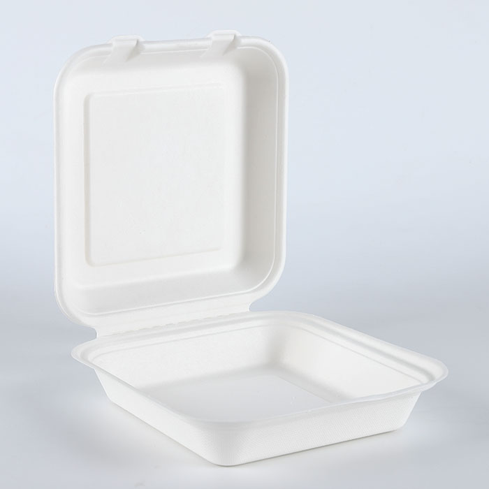 Eco Friendly Biodegradable Take Out Containers