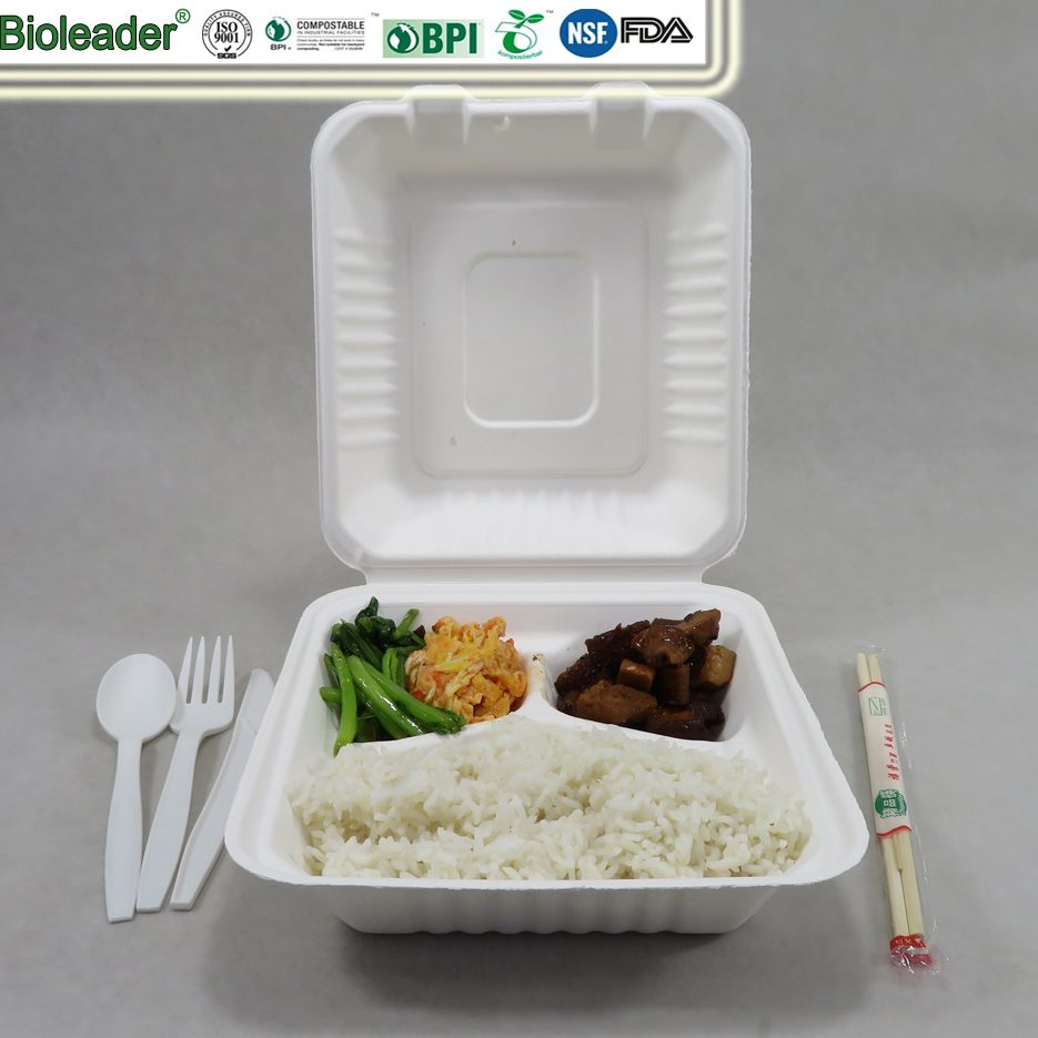 Environmentally Friendly Biodegradable Lunch Containers