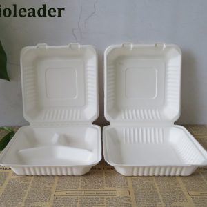 Eco Friendly Sugarcane Bagasse Takeaway Containers for Food