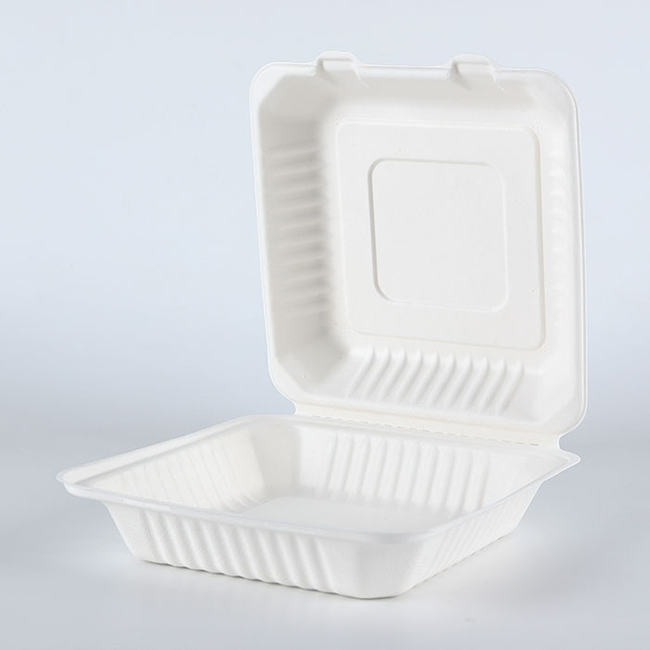 Eco Friendly Biodegradable Food Packaging for Takeaway