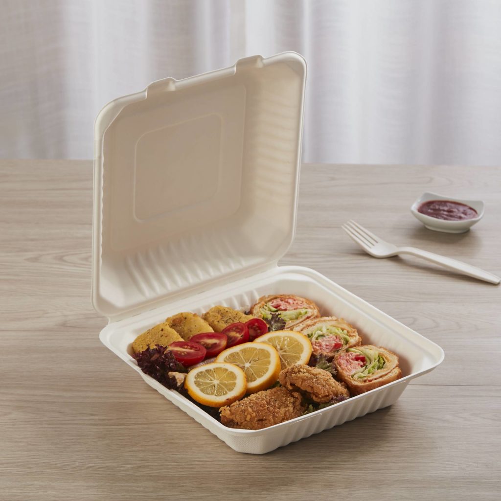 Eco Friendly Biodegradable Food Packaging for Takeaway