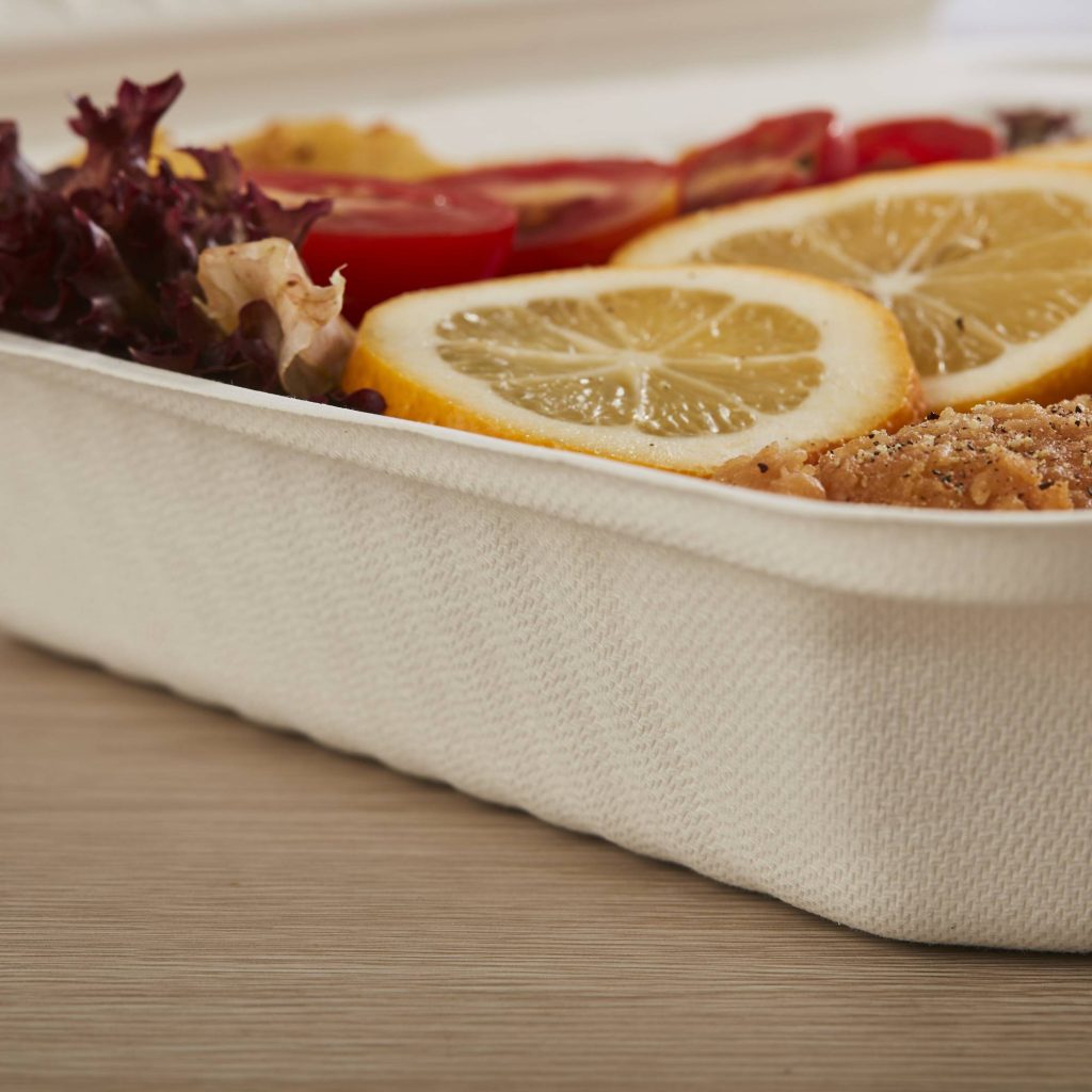 Eco Friendly Biodegradable Food Packaging for Takeaway