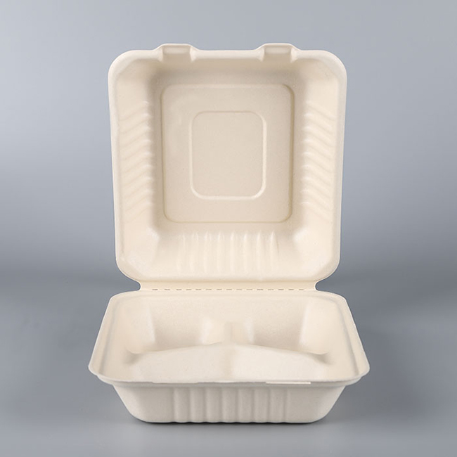 Environmentally Friendly Biodegradable Lunch Containers