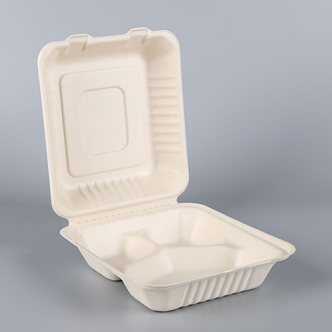 Environmentally Friendly Biodegradable Lunch Containers