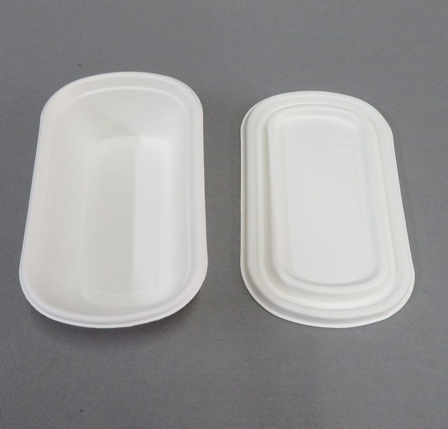 Disposable Containers with Lids for Food