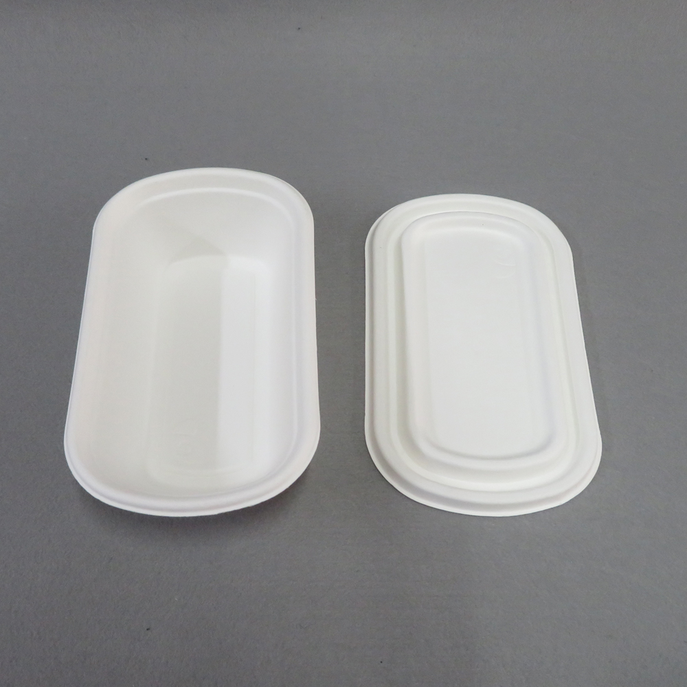 Disposable Containers with Lids for Food