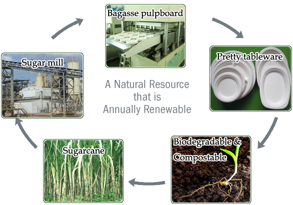 How To customize The Sugarcane Pulp Molded Products Base My Design Or Sample?