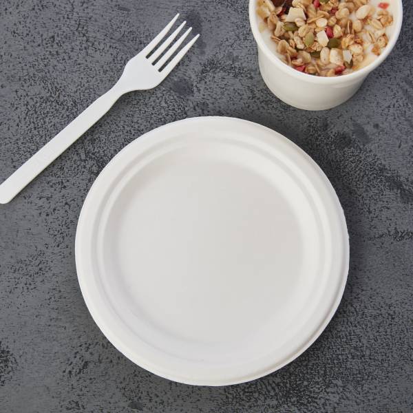 Compostable Paper Plates Dinner Party Plates