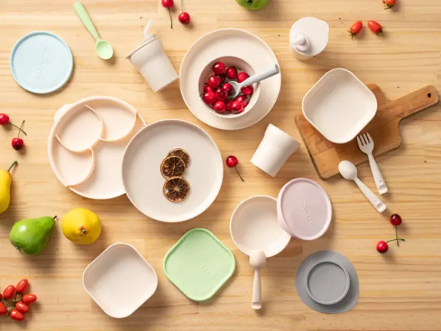 What Are The Types Of Biodegradable Tableware, And What Are Their Characteristics?