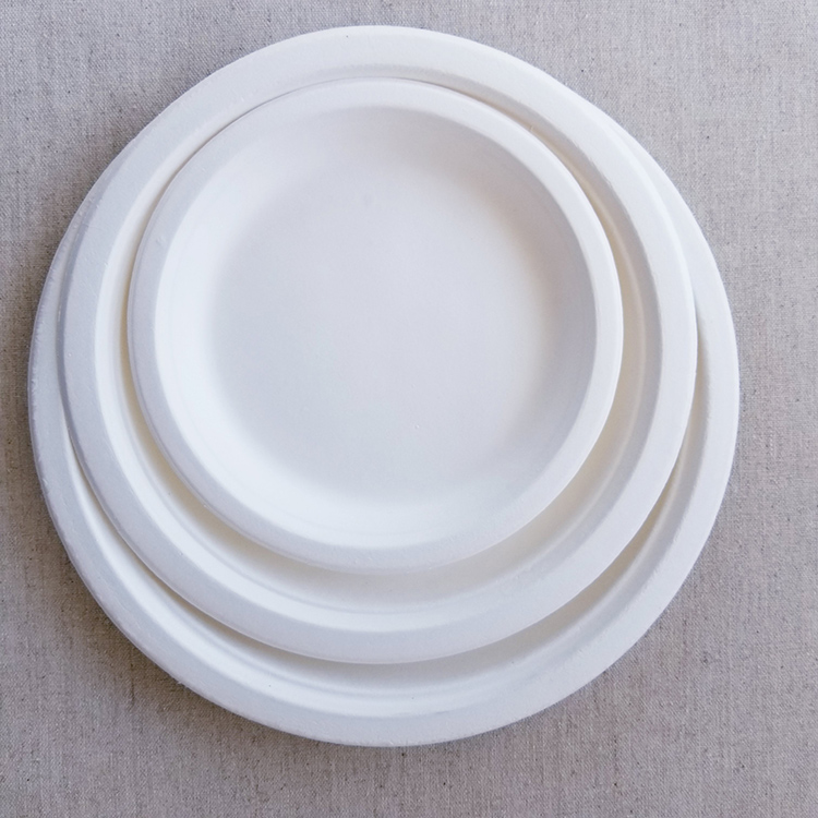 Biodegradable Dinnerware Set