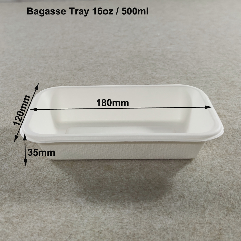 Compostable Disposable Sandwich Trays with Lids