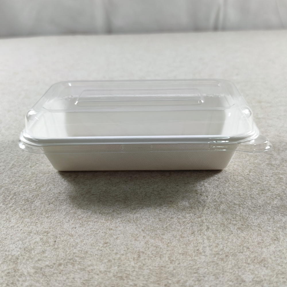 Compostable Disposable Sandwich Trays with Lids