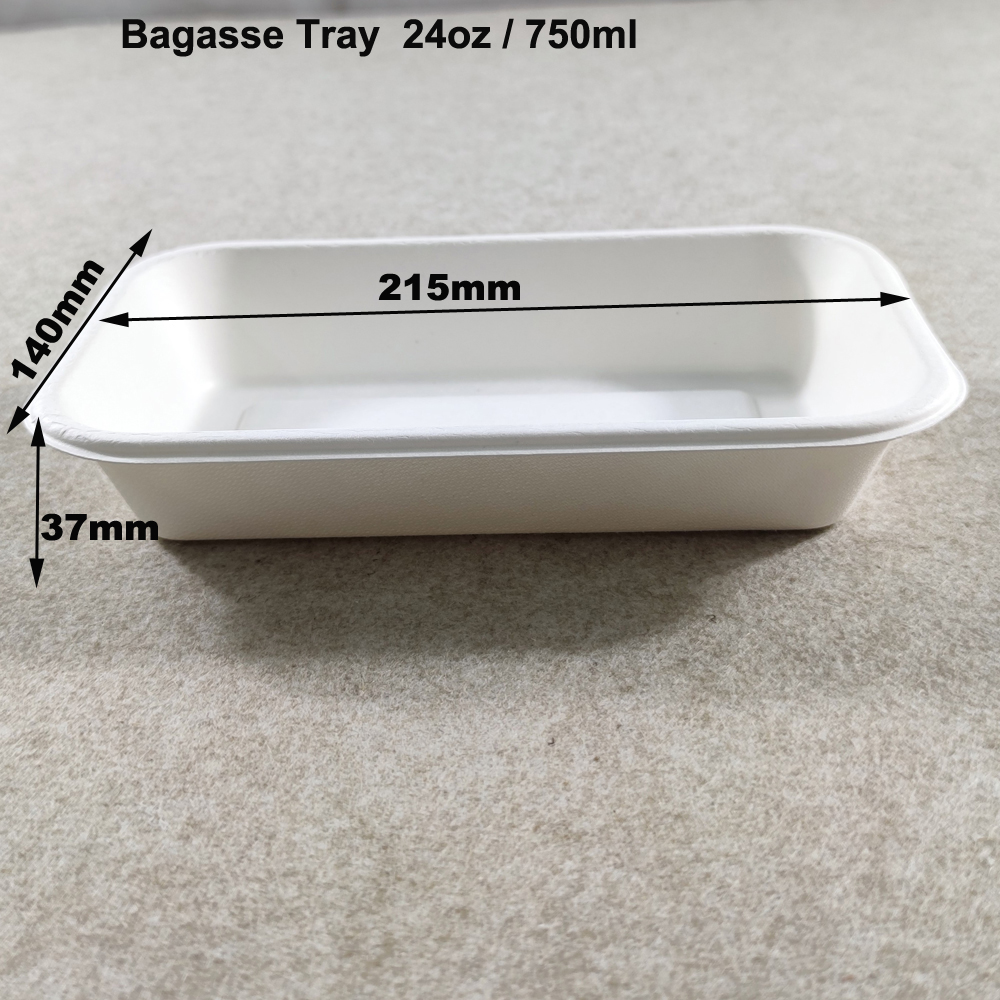 Compostable Disposable Catering Trays with Lids Wholesale