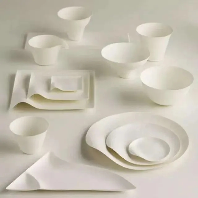 Common Issues In The Production And Use Of Paper Pulp Molding Tableware And Their Possible Solutions