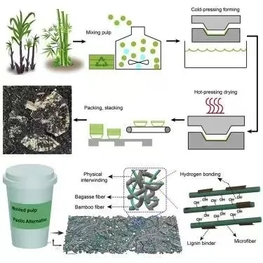 Common Issues In The Production And Use Of Paper Pulp Molding Tableware And Their Possible Solutions