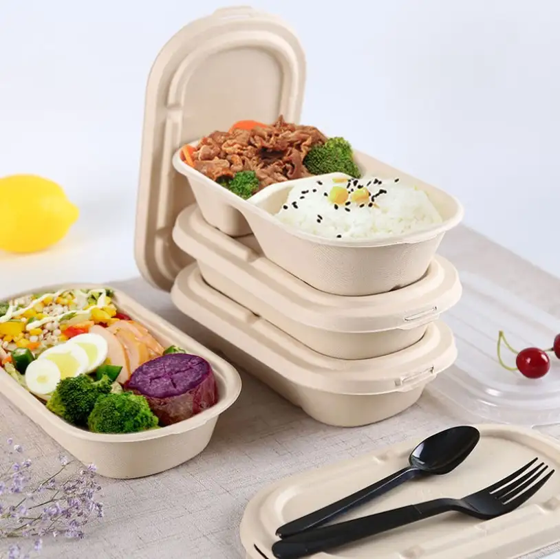 What Are The Types Of Biodegradable Tableware, And What Are Their Characteristics?