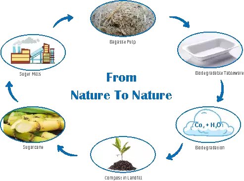 About The Sugarcane Bagasse Tableware Degradation Method, Process And Time. How To Store Them.