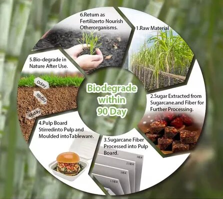 About The Sugarcane Bagasse Tableware Degradation Method, Process And Time. How To Store Them.