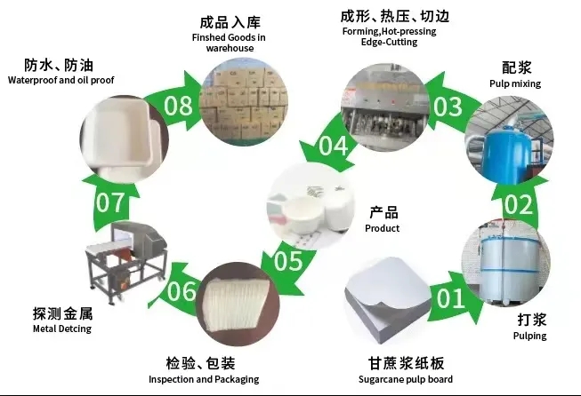 Common Issues In The Production And Use Of Paper Pulp Molding Tableware And Their Possible Solutions