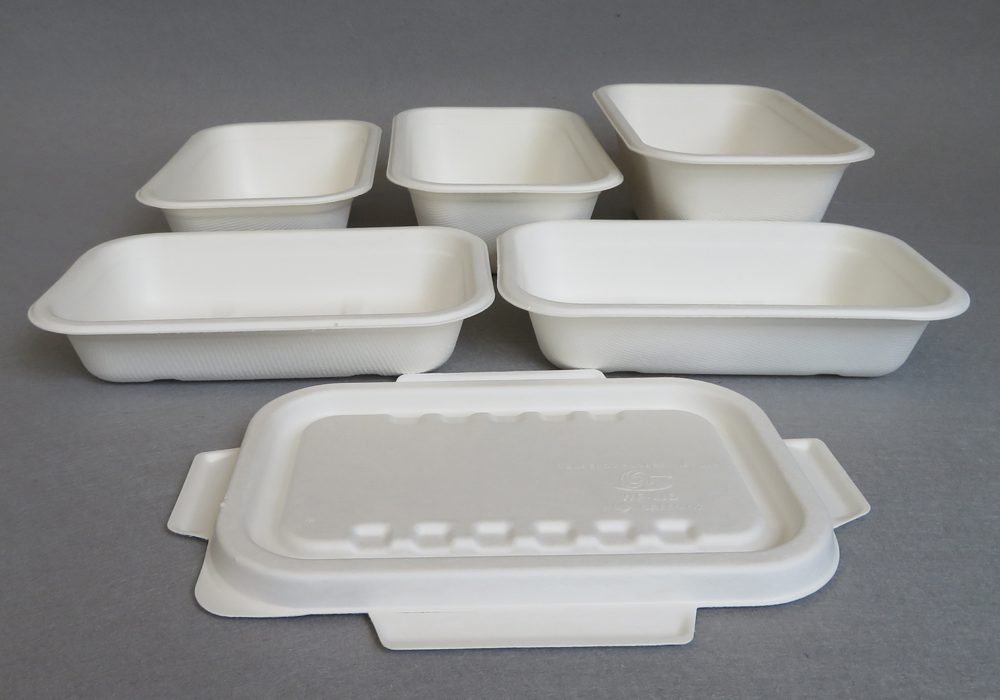 Eco Friendly Disposable Catering Trays With Lids