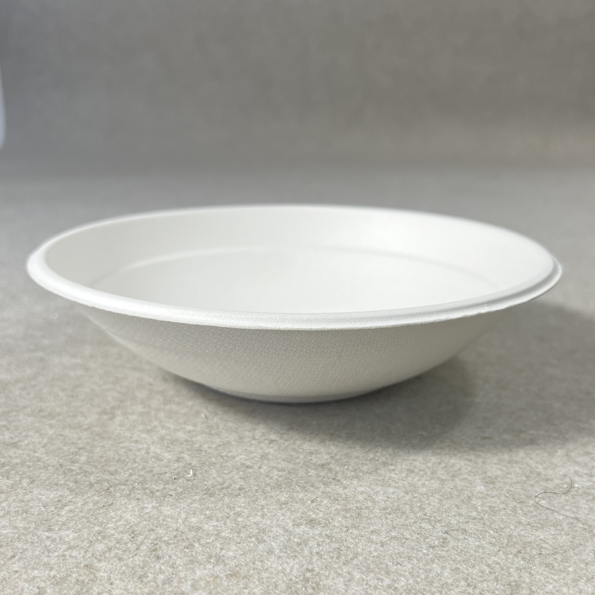 Eco Friendly Bowls with Lids Disposable